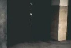 国产精www,传承与创新的中国文化瑰宝