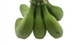 国产成人大香蕉,探索国产成人影视的崛起与魅力