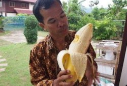 国产成人大香蕉,探索国产成人影视的崛起与魅力