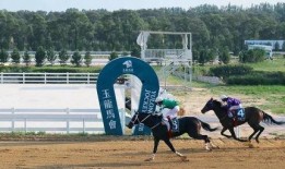 国产无马,引领绿色出行新潮流