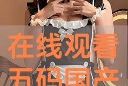 国产码在线,创新驱动下的中国力量